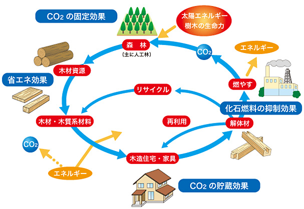 co2-01.jpg