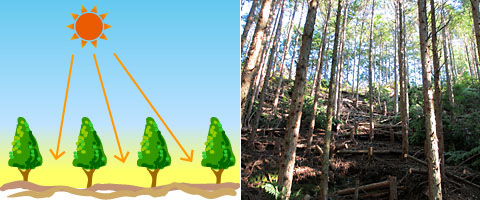 mamoru-kanbatugo.jpg
