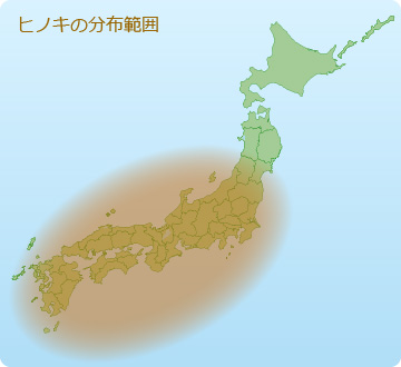 hinoki-bunpuzu.jpg