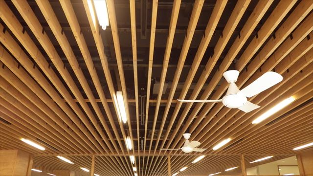 shinai-fuzoku001.jpg