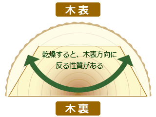 daikei-kiurakiomote.gif