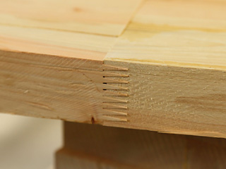 seizou-10fingerjoint.jpg